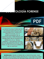 Odontología Forense Ii Fase X Sem 24 - 241028 - 013735