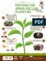 Proceso de Siembra de Plantas - PDF - 20241025 - 095525 - 0000