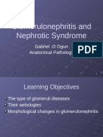 17.nephrotic Syndrome and Glomerulonephritis UTG