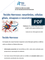 Aula 3 - Tecido Nervoso - Neurônios, Células Gliais, Sinapses e Neurotransmissão