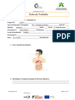 Ficha de Trabalho - Dietética e Nutrição