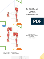 MIOLOGÍA MMSS-Brazo y Antebrazo