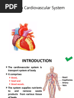 Circulatory System