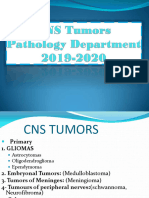 Prelab Cns Tumors-1