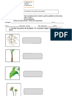 3° Control Las-Plantas-agosto 2024