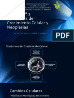 Unidad 2 Transtornos Del Crecimiento Celular y Neoplasias