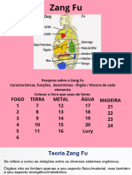 Medicina Chinesa - Zang Fu