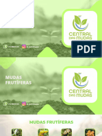 Mudas Frutíferas