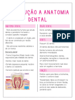 Introdução A Anatomia Dental