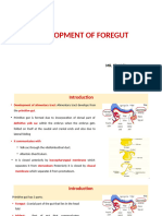 Development of Foregut 2-1