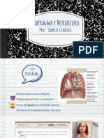 Tema 7 - Diafragma y Mediastino.