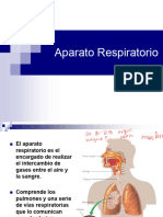 Aparato Respiratorio