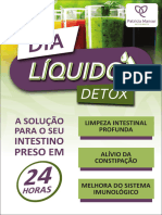 Dia Líquido Detox