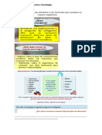 Conozco Los Grupos de Alimentos y Las Funciones Que Cumplen en Nuestro Organismo