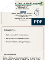 Tema 1 - Sistema Cardiovascular