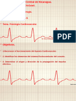 Ucn Fisio CV II 2024