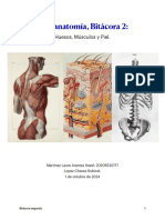 Bitácora 2 - Fisioanatomía - Definitivo