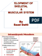 Development of Skeletal and Muscular System