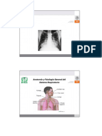 Sistema Pulmonar Ii