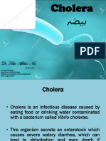 Cholera MIC 402