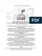 Respiratory