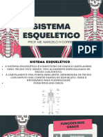 Sistema Esquelético