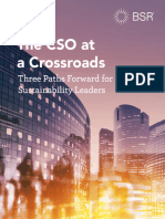 BSR The CSO at A Crossroads Three Paths Forward For Sustainability Leaders