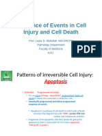 Cell Injury 4&5