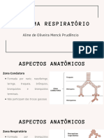 Monitoria SP 1.4 - Sistema Respiratório