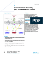 A Neurogenic Microenvironment Defined by Excitator