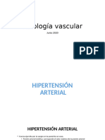 12.1 Patologia Vascular