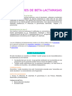 Inhibidores de Betalactamicos y Aminoglucosidos