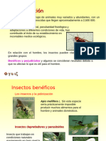 Introducón A La Entomopatologia