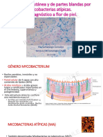 Afectacic3b3n Cutc3a1nea y de Partes Blandas Por Micobacterias. Elia