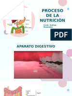 Proceso de La Nutriciòn