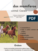 Ordem Dos Mamíferos: Animal: Cavalo