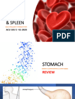 WK 4. Stomach Spleen