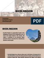 Region 5 - Bicol Region