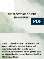 The Process of Genetic Engineering