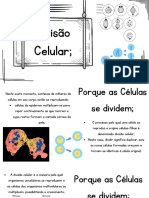 Digestive Enzymes Biology Presentation in A Black and White Lined Style