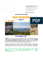 Bukoba Attaractions Investments 2018