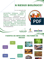 Capacitacion Riesgo Biologico