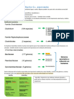 2do Parcial Bacter