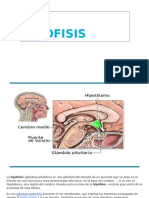 HIPÓFISIS