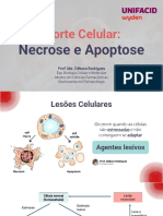 A4 L Necrose e Apoptose