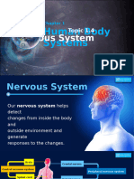 Topic 1.4 Nervous System