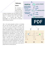 Ffoxidativepentose Phosphate Pathway