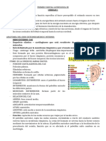 Primer Parcial Audiologia Iii