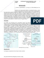 Micología Q2M