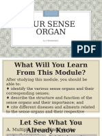 Our Sense Organ